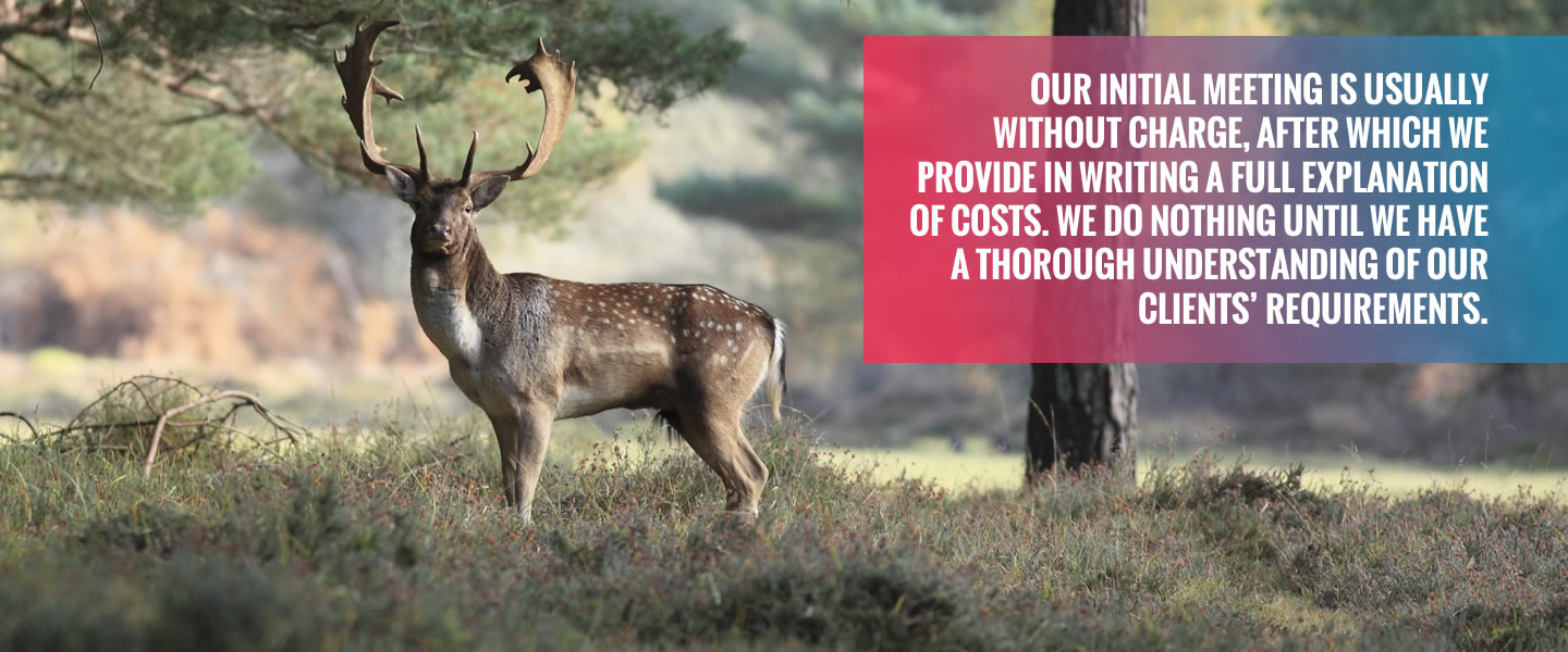 our approach clarkson hall